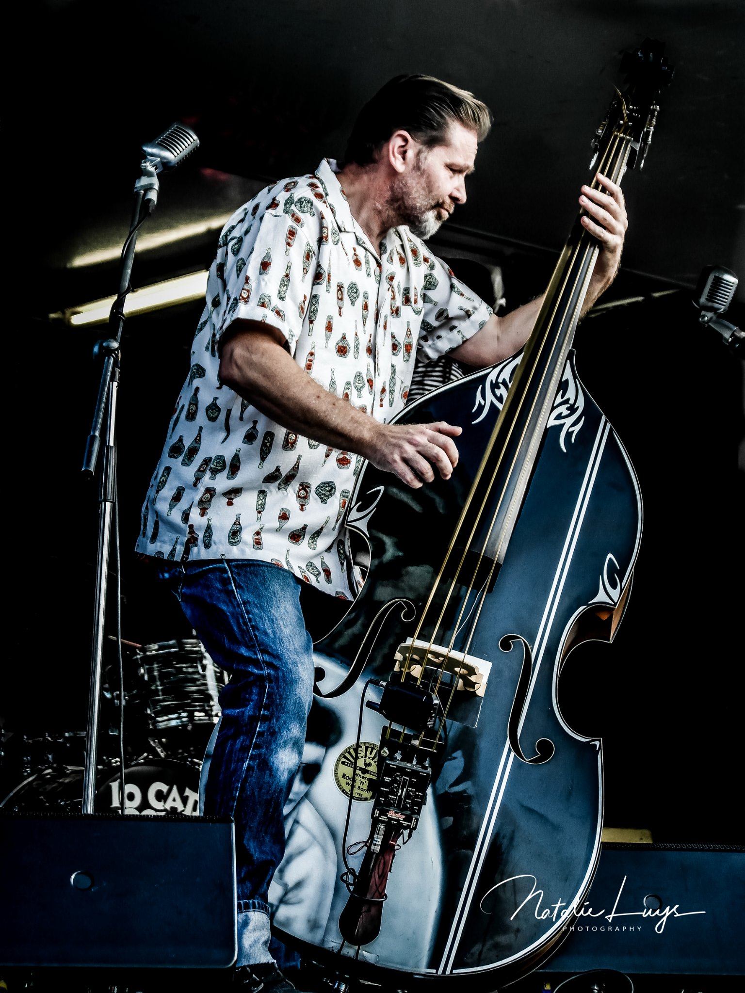 Bass player in patterned shirt with upright bass